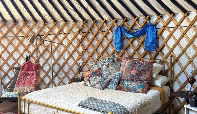A Cosy Stay in an Authentic Mongolian Yurt!