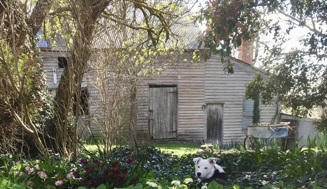 A cottage for couples! Come stay & meet our alpacas 🦙💗