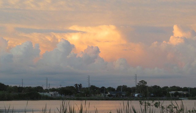 A Cottage on Lake Near Universities and colleges. close to shops and downtown
