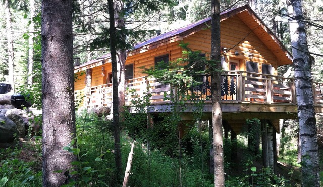 A Cozy Cabin in the Woods, Many Trails And A Little Lake