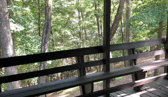 A cozy cabin snuggled in the mountains minutes away from Lost River State Park.