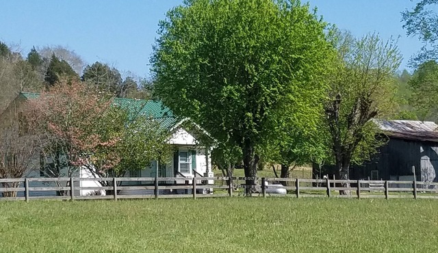 A cozy cottage located 4 miles from Leiper's Fork in Williamson County TN