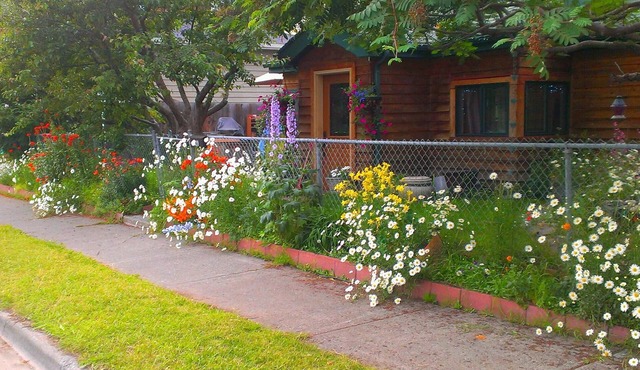 A Cozy Cottage In South Addition, Right Next To Downtown Anchorage