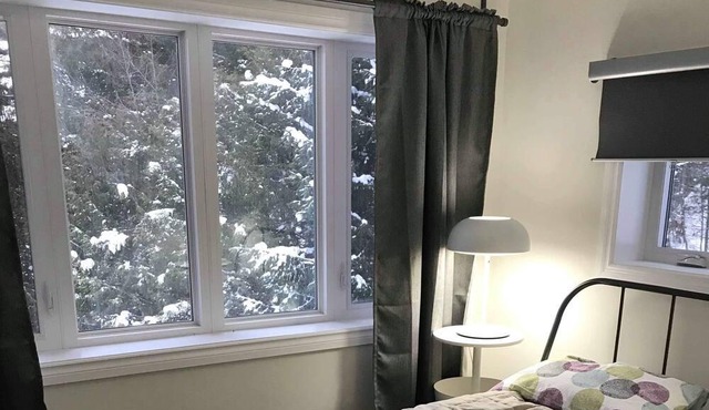 A cozy house in the woods