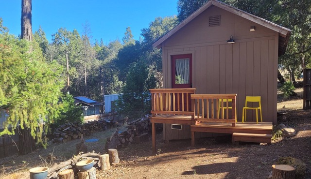 A cozy winter skier's cabin, or summer retreat-Explore the Gold Country!