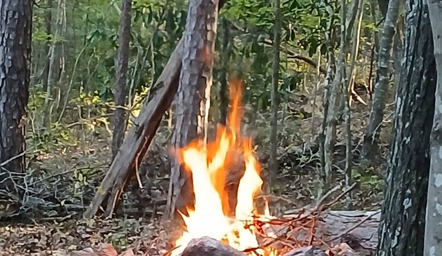 A crackling campfire, a creek & deer outside your tent & we have a nature trail!