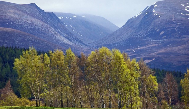 A delightfully cosy Highland retreat with 4 star quality, comfort and style for 4-6 guests.