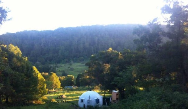 A Dome Away from Home - Rainforest Valley near Mullumbimby