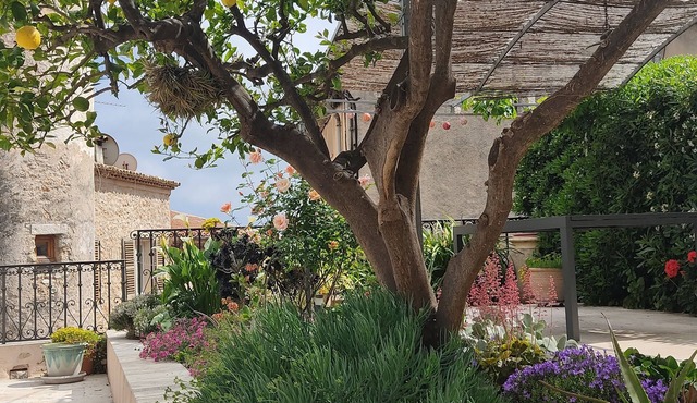 A dream week in the heart of Saint-Jeannet