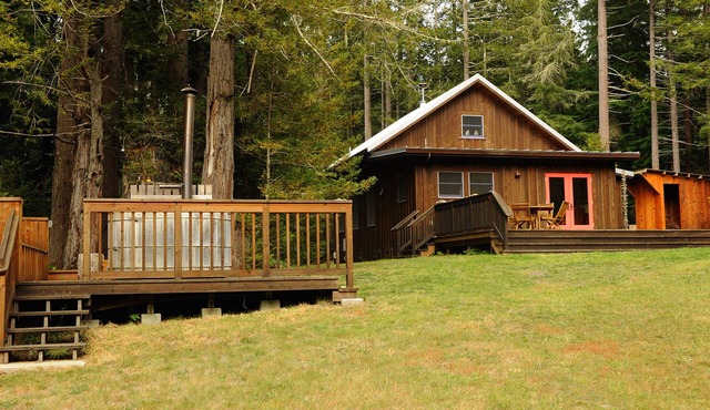 A Family destination in the forest with artisan treehouse & vintage airstream