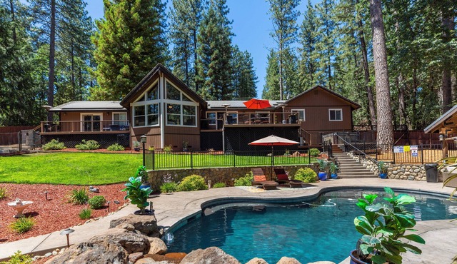 A Forest Mini Resort with a fabulous pool & rustic mountain luxury at its best!