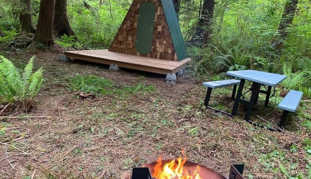 A-Frame #17 Shelter near Olympic National Park