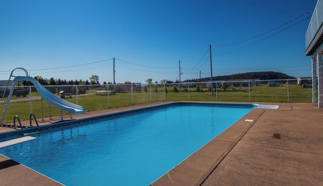 A FRAME ALPHA -WoW This Old Treen