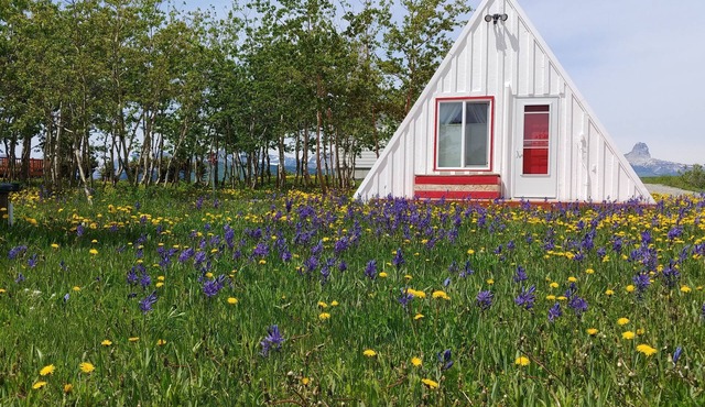 A-Frame Hiker's Retreat