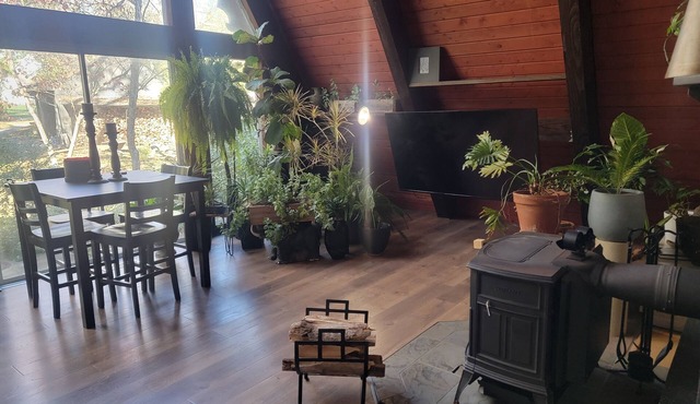 A-frame home, 3 acres, fenced, secluded, hot tub, sauna, dog friendly