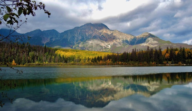 A friendly place to stay on the Kitsap Peninsula !