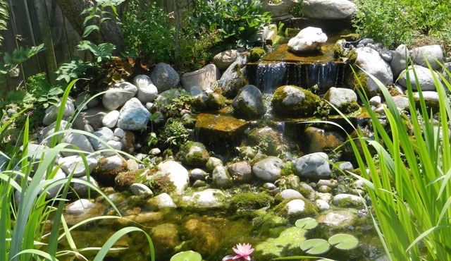 A Garden Stroll B&B