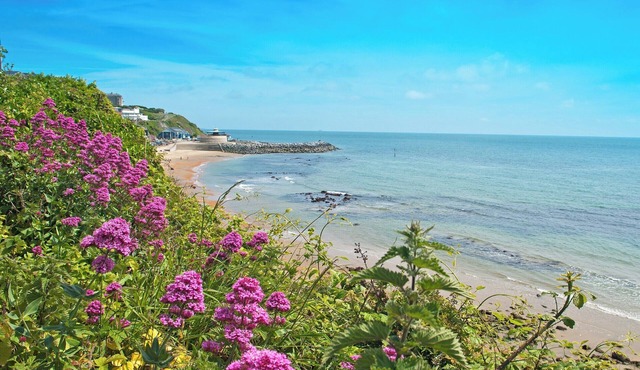 A gorgeous Shepherd’s Hut with stunning views, hot tub and indoor pool.