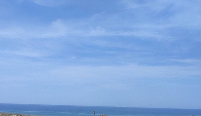 A great Gironde beauty in the heart of Fronsac