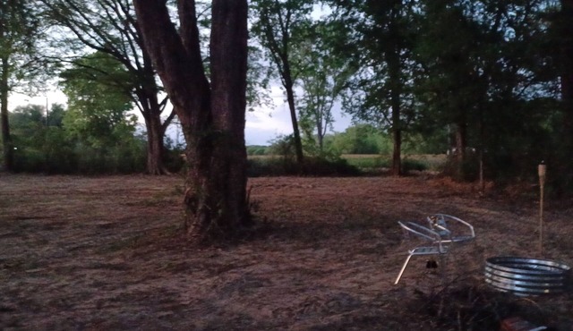 A great spot to relax under nice shade trees and plenty of room for activities.