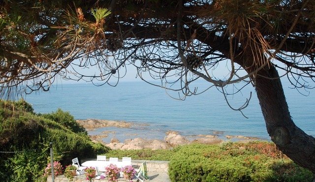 A great summer time in the waters of the Bay of Ajaccio.