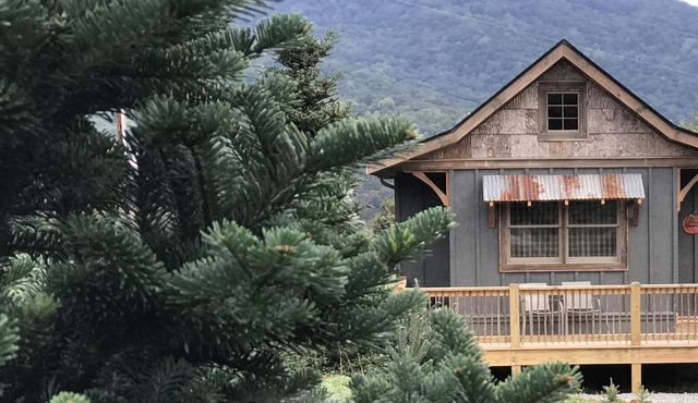 A hand-crafted cabin built in the middle of a Christmas Tree farm.