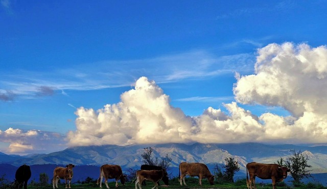A haven of peace in the heart of the Corsican mountains