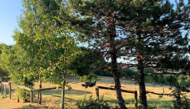 A haven of peace and quiet in the heart of the Tarn countryside.