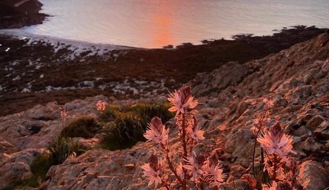 A haven of peace between sea and mountains