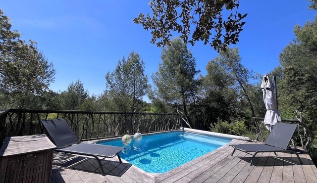 A haven of peace in a pine forest