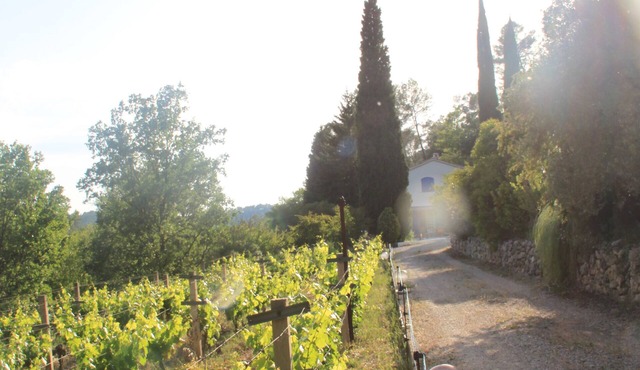 A haven of peace in Provence