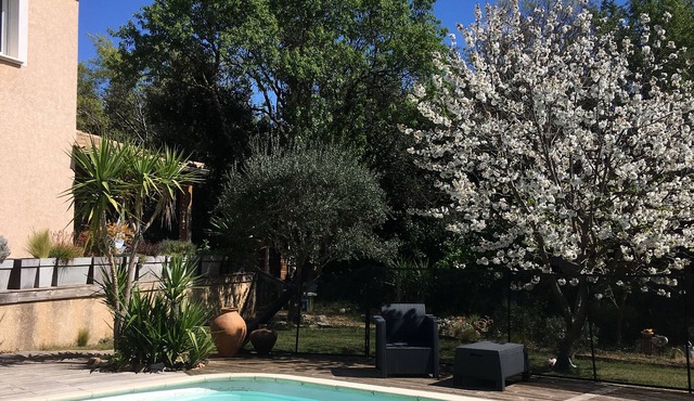 A haven of tranquility and freshness,