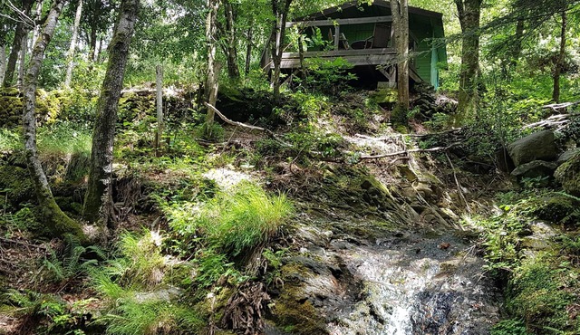 a hidden hut with a terrace overlooking the forest