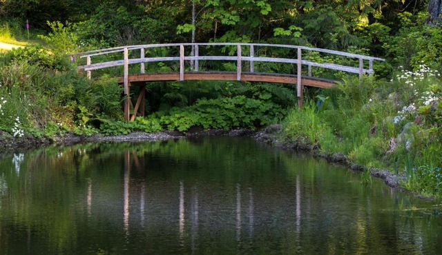 A Hidden Haven Cottages