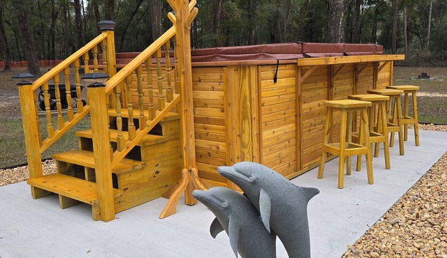 A Hidden Treasure: Spacious Studio with private entrance. Guests hate to leave.