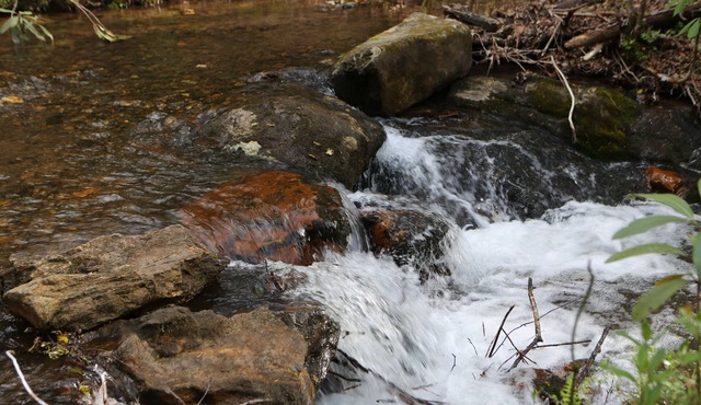 A Hiker's Paradise - Secluded Cabin on Small, Rushing Stream Near A/T Access