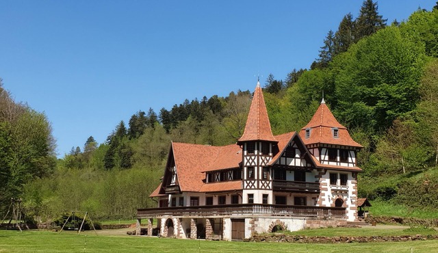 A holiday in the Petite Pierre in the middle of the forest