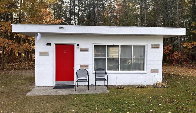 A Home for All: Pet-Friendly Cabin for Your Family Getaway in Ocqueoc Township, MI