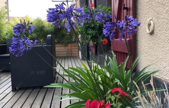 A l'Aube des Volcans