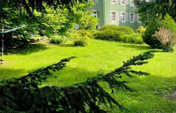 A l'Ombre des tilleuls