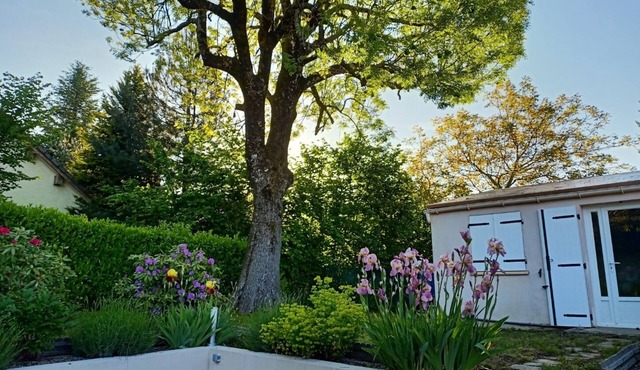 A L'ombre du Frêne, Maison Avec Jardin Arboré. Idéal Pour les Amis de la Nature