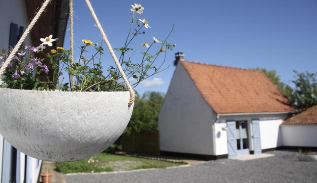 A l'ombre du prunier