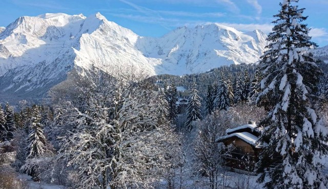 A little corner of paradise facing Mont Blanc, close to the ski slopes