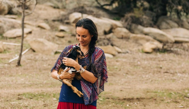 A Little Blue Farmhouse:TemeculaWine Country Farm