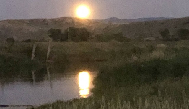 A little cabin getaway nestled on the Colorado River just 90 minutes from the fr
