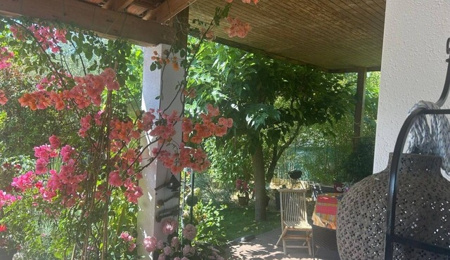 A little paradise of scents and greenery in the hills above Nîmes.
