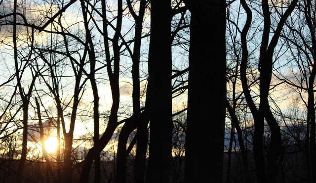 A little slice of heaven in gorgeous Lost River, West Virginia!