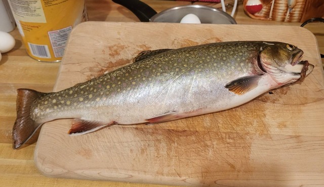 A little Slice of Heaven!nThis cozy little cabin is located at Georgetown Lake!