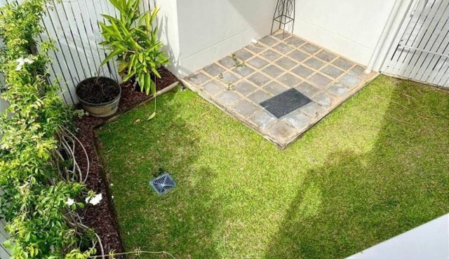 A Little Slice of Nature on Cherry