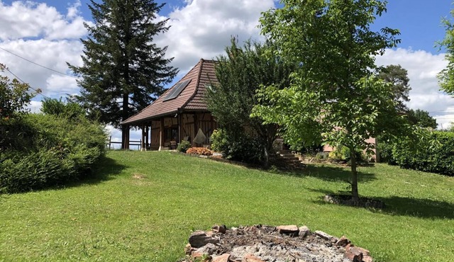 A Lombre des Acacias